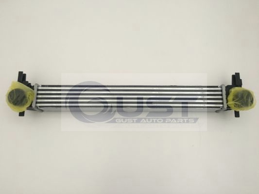 TURBO RADYATÖRÜ  VOLKSWAGEN POLO 1.2 TDI - 1.6 TDI  2009>   KALIN ÇIKISLI 